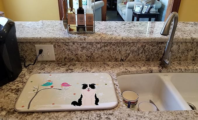 Border Collie - Black and White