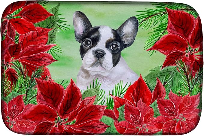 French Bulldog - Black and White