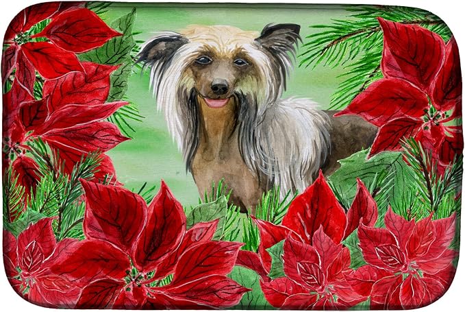 Chinese Crested