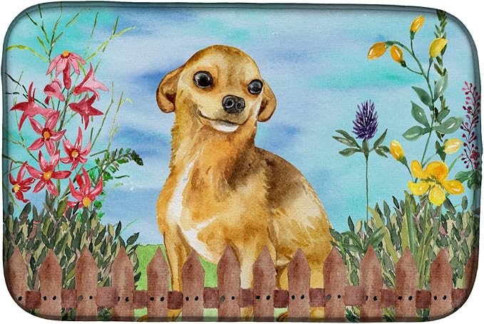 Chihuahua