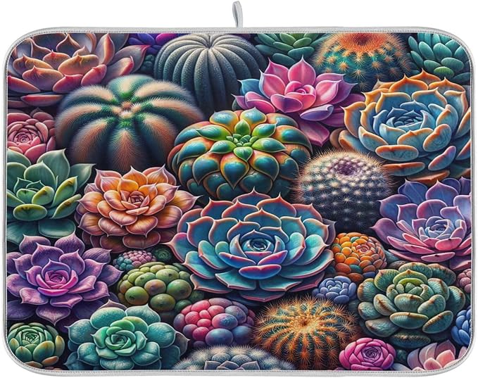 Colorful Succulents 02