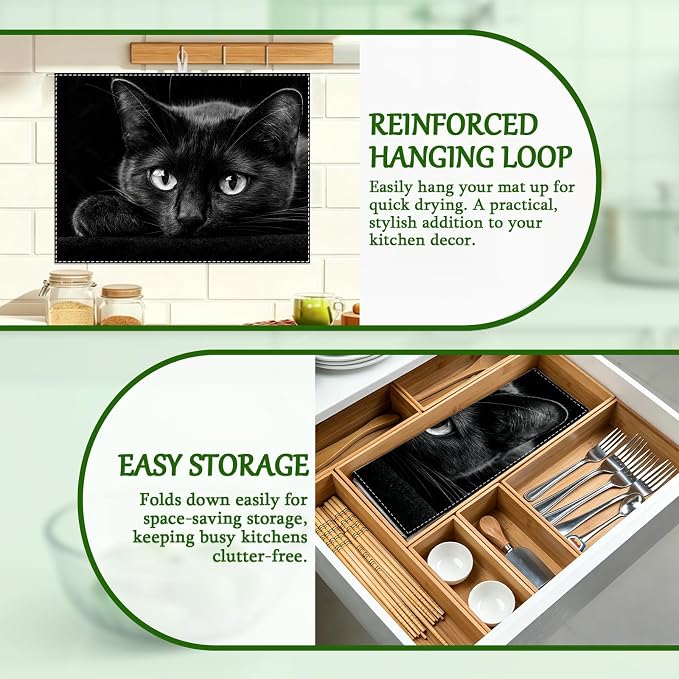 Funny Black Cat