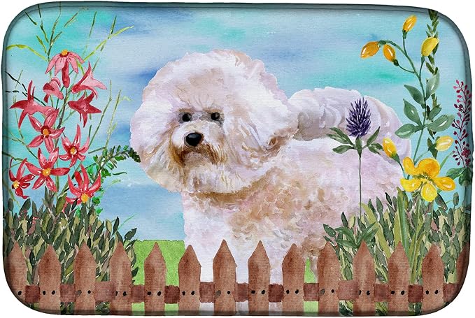 Bichon Frise #2