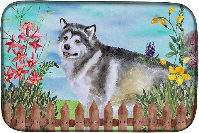 Alaskan Malamute