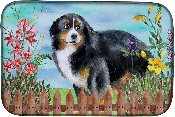 Bernese Mountain Dog