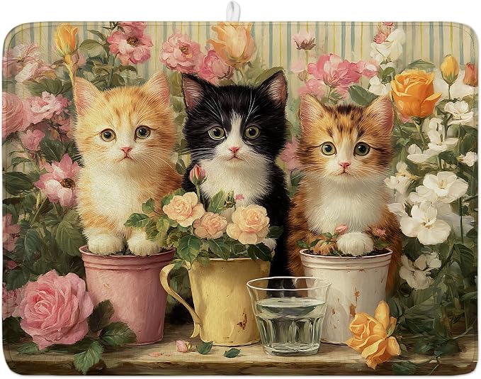 Kitten