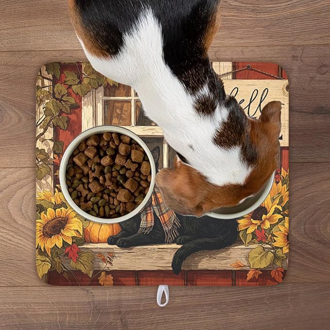 Fall Cat