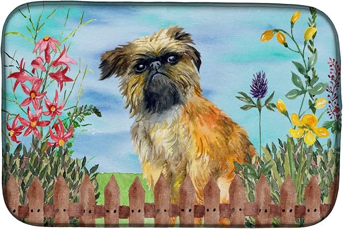 Brussels Griffon