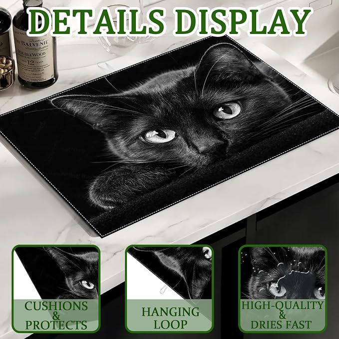 Funny Black Cat