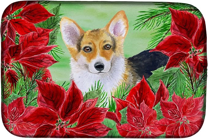 Corgi
