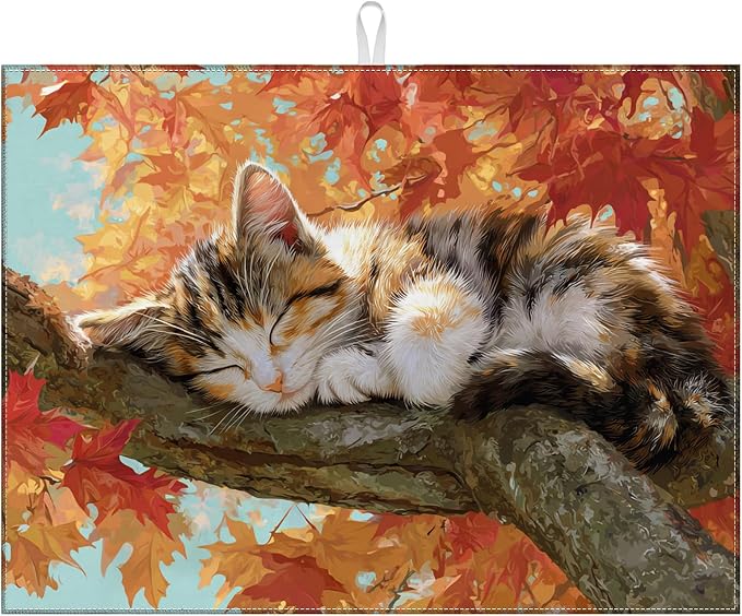 Fall Cat