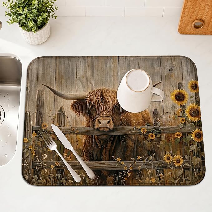 Highland Cow