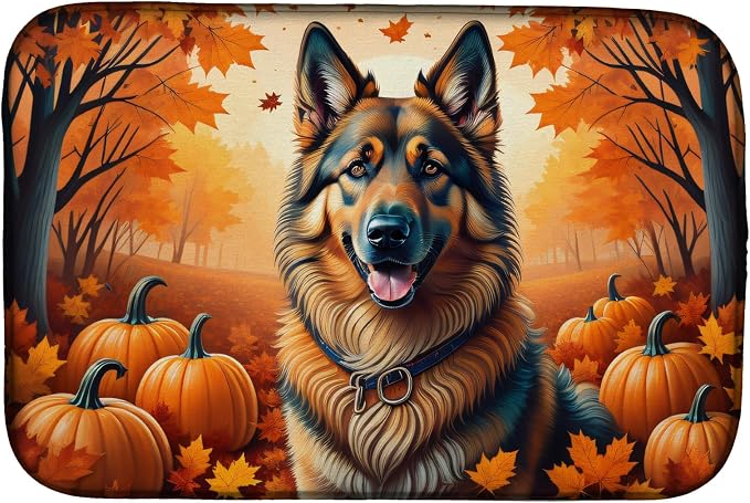 Belgian Tervuren