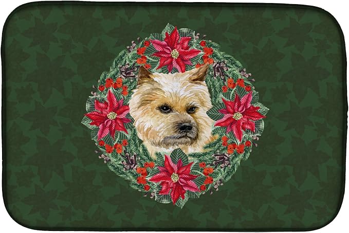 Cairn Terrier