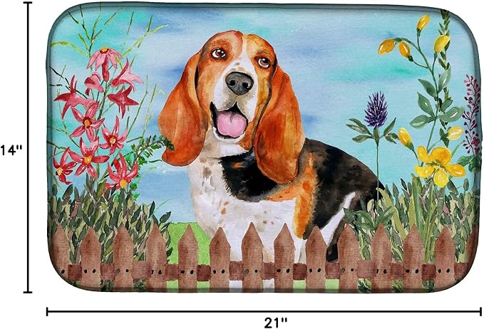 Basset Hound