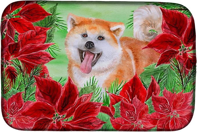 Akita