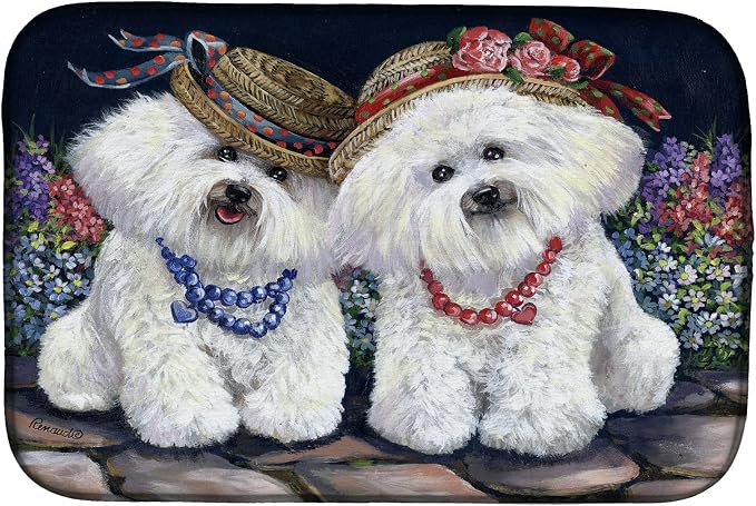 Bichon Frise Sisters