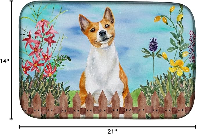 Basenji
