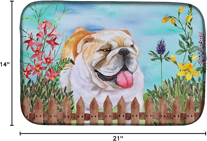 English Bulldog