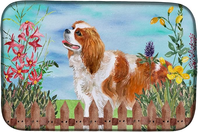 Cavalier King Charles Spaniel