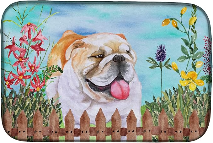 English Bulldog