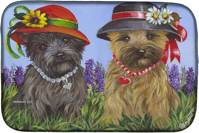 Cairn Terrier Sisters