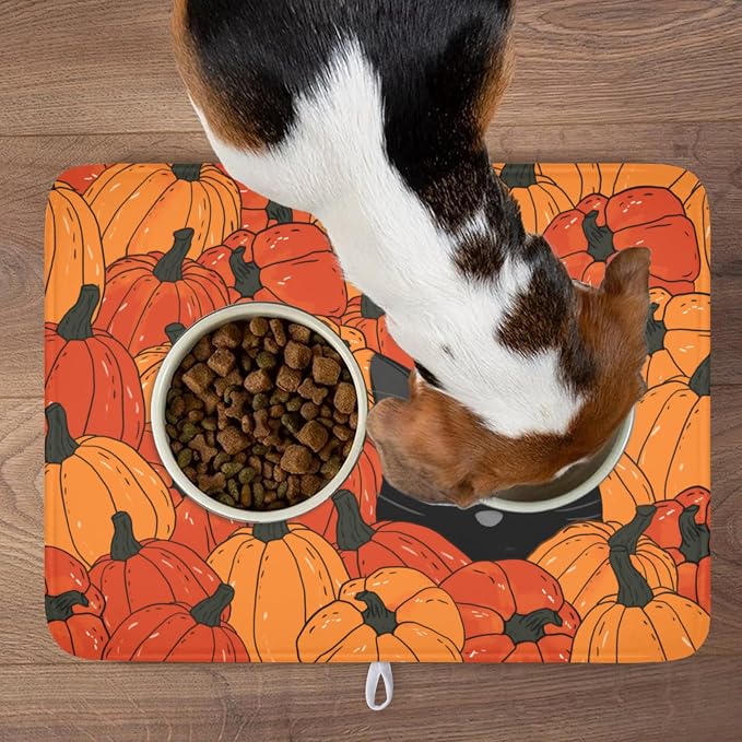 Cat Pumpkin