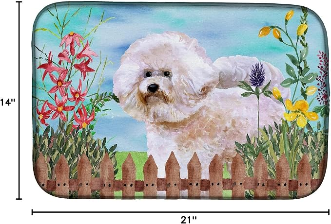 Bichon Frise #2