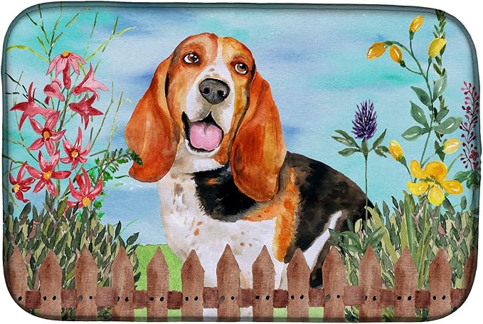Basset Hound