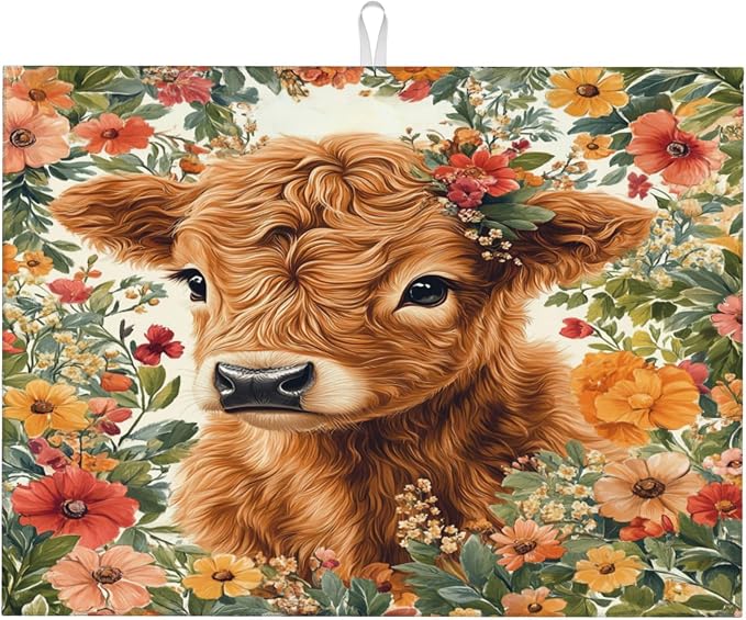 Highland Cow