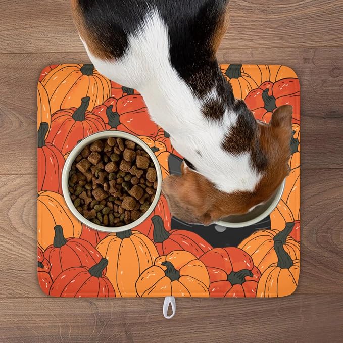Cat Pumpkin