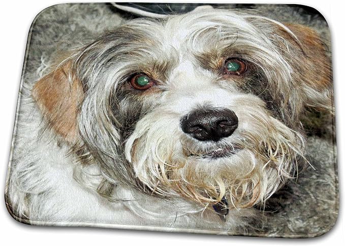 __DEFAULT__