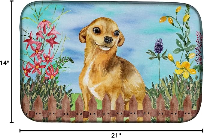 Chihuahua