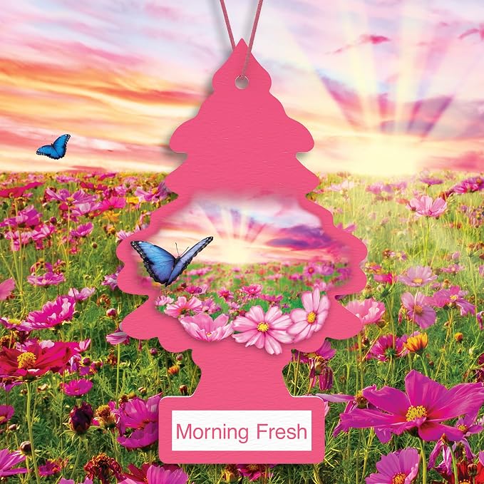 Morning Fresh