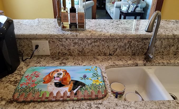 Basset Hound