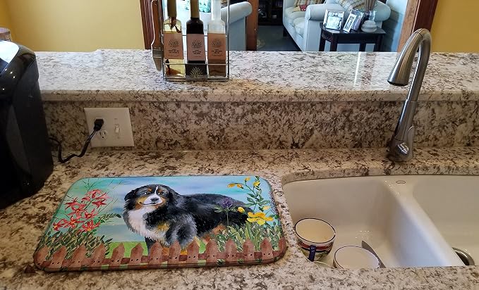 Bernese Mountain Dog