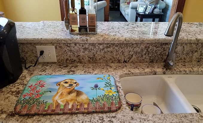 Chihuahua