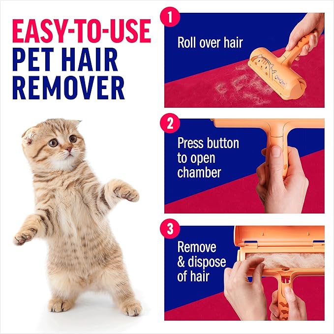 Cat Pattern