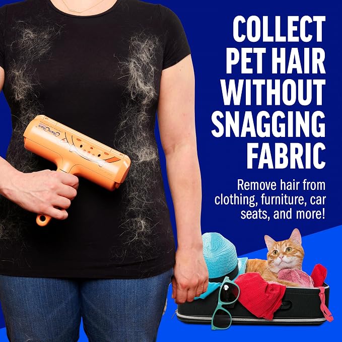 Cat Pattern