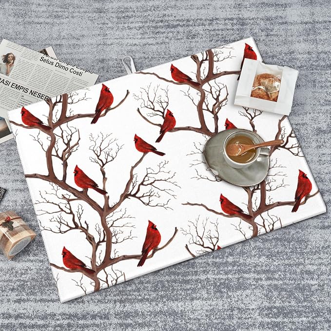 Birds Cardinal