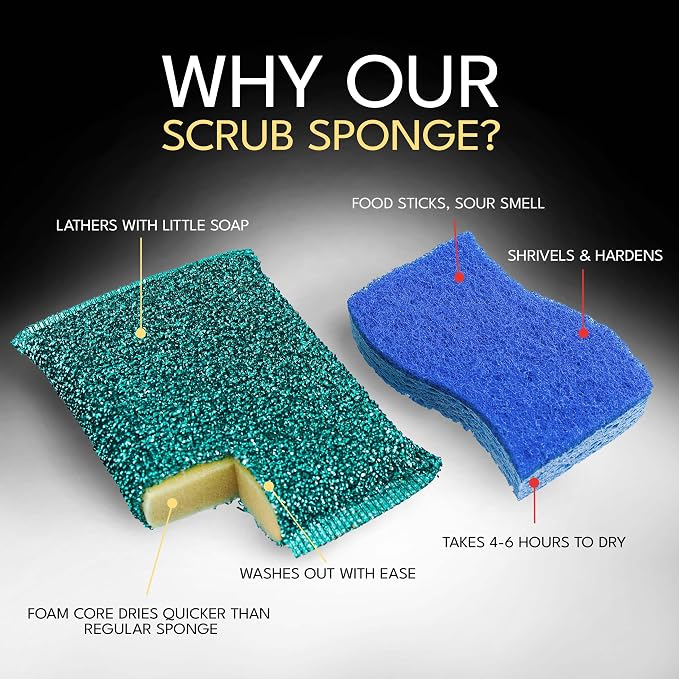 Splendid Scrub Sponge Value 10pk