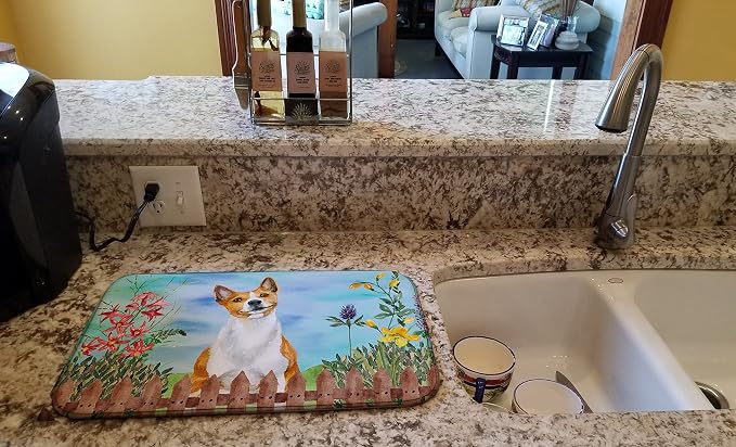 Basenji