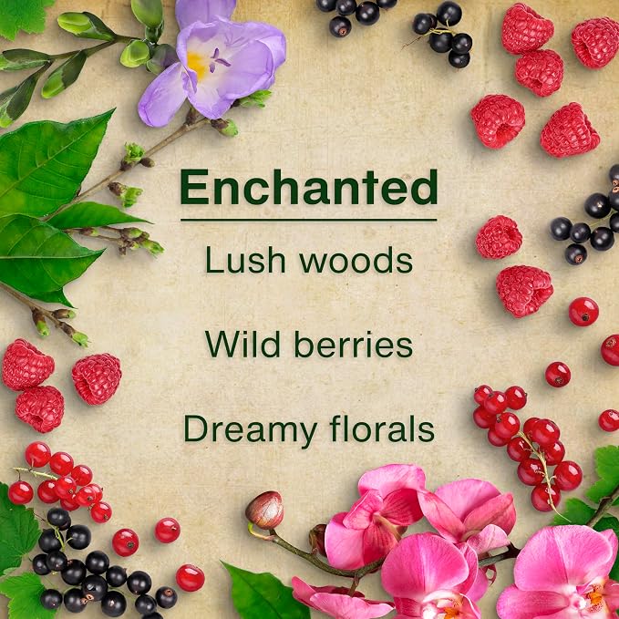 Enchanted