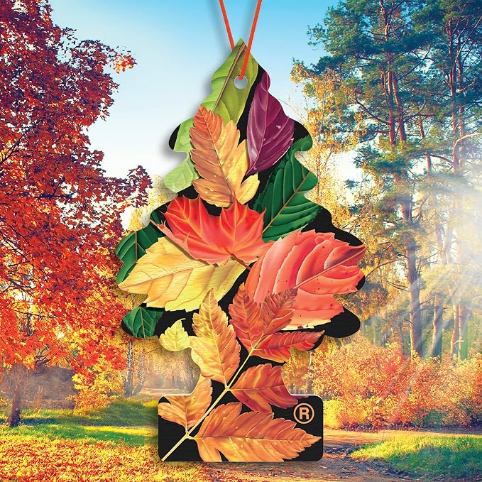 Crisp Autumn Air